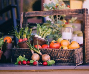 Ezer Grace Farm photo